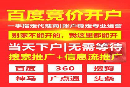 成功运用SEM技术提升网站流量的案例研究